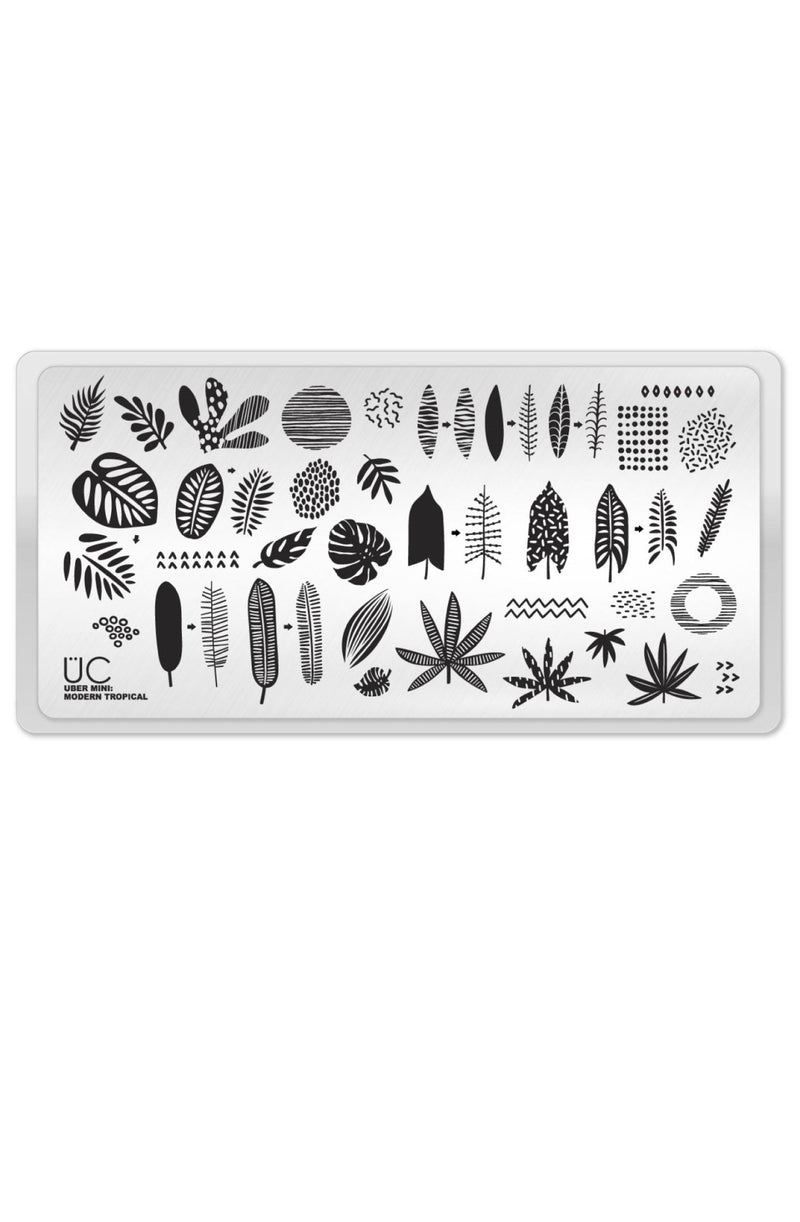 Modern Tropical - Cordoza Nail Supply