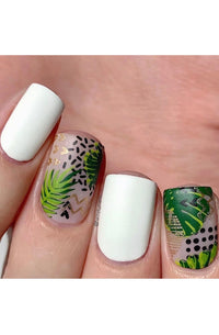 Modern Tropical - Cordoza Nail Supply