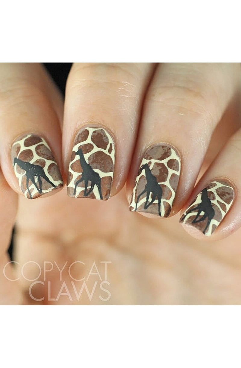 Out of Africa-01 - Cordoza Nail Supply