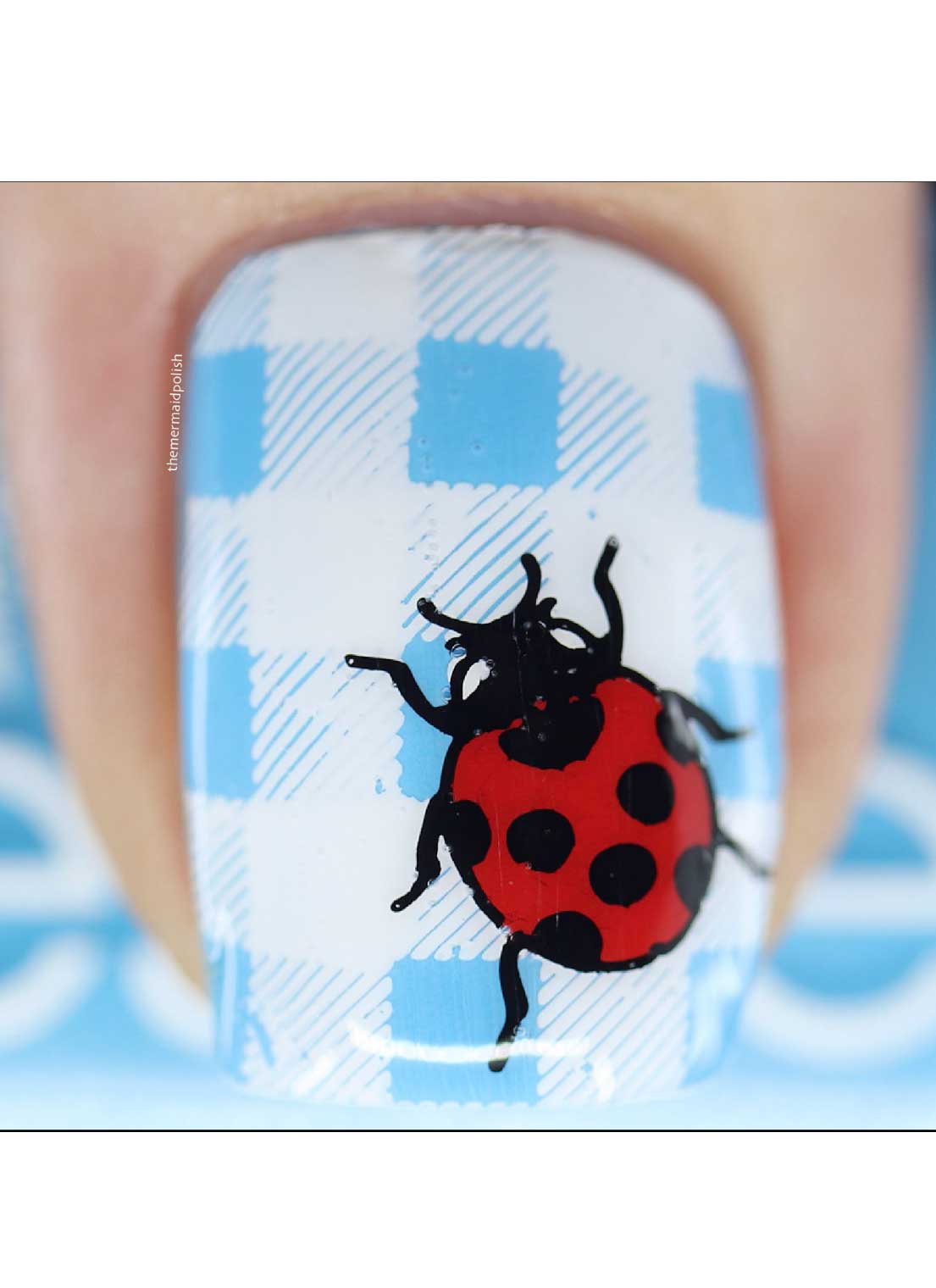 Picnic Perfect - Cordoza Nail Supply