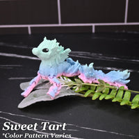 Seahorse - Cordoza Nail Supply