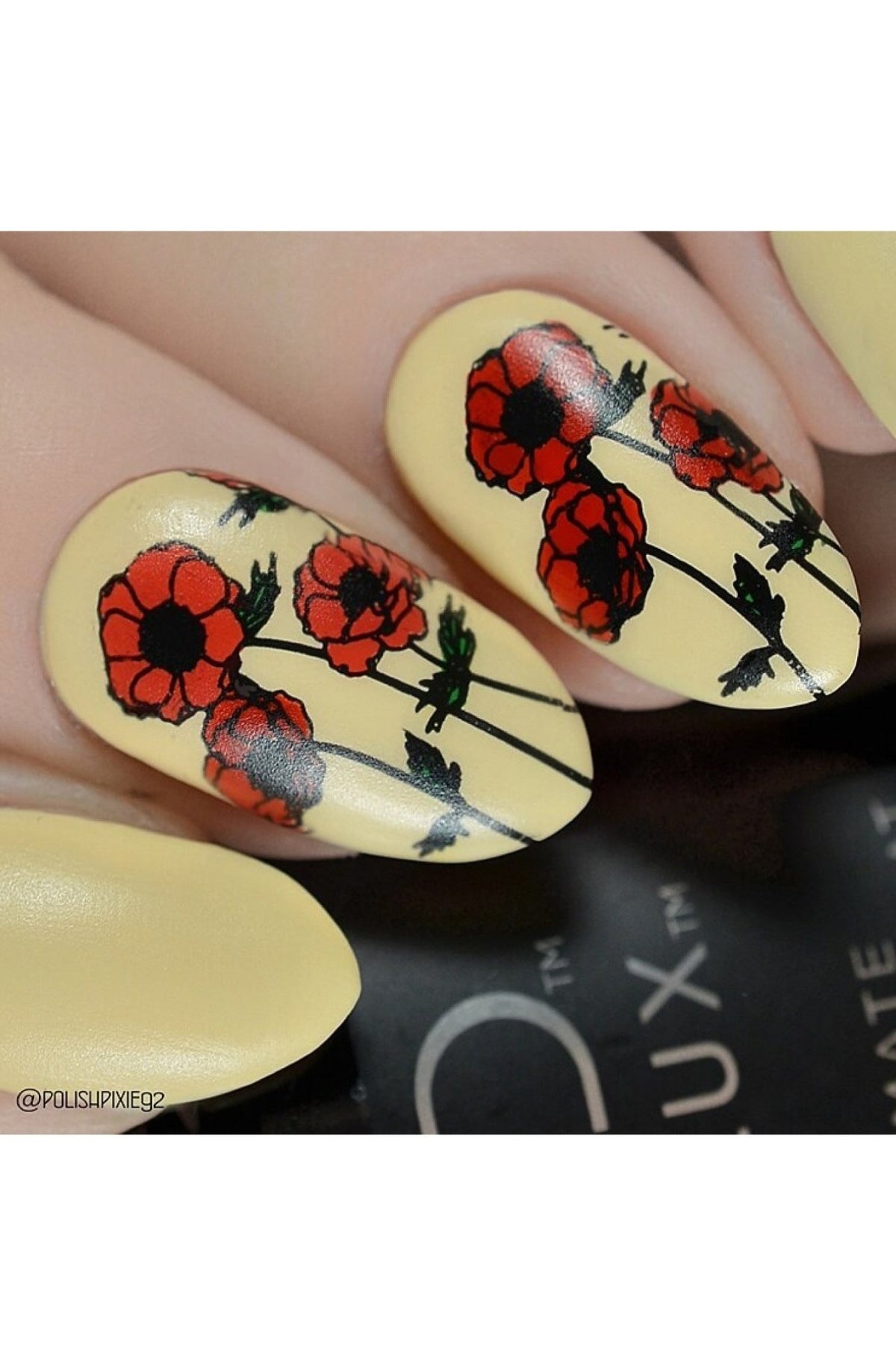 Secret Garden-01 - Cordoza Nail Supply