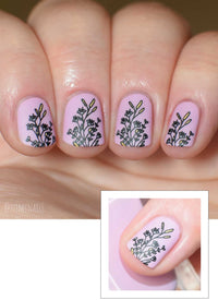 Secret Garden-03 - Cordoza Nail Supply