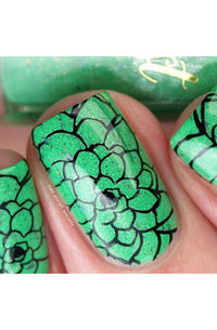 Succulents - Cordoza Nail Supply
