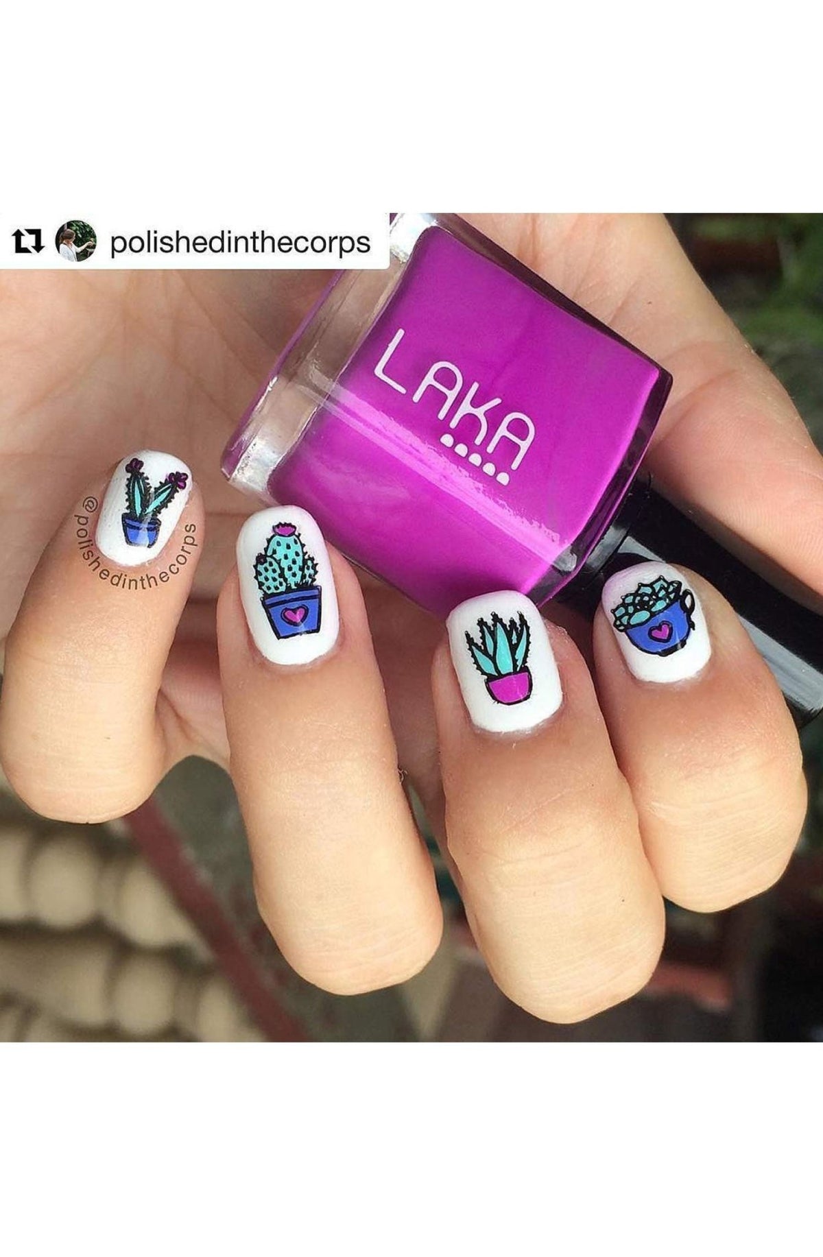 Succulents - Cordoza Nail Supply
