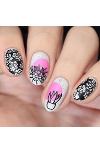 Succulents - Cordoza Nail Supply