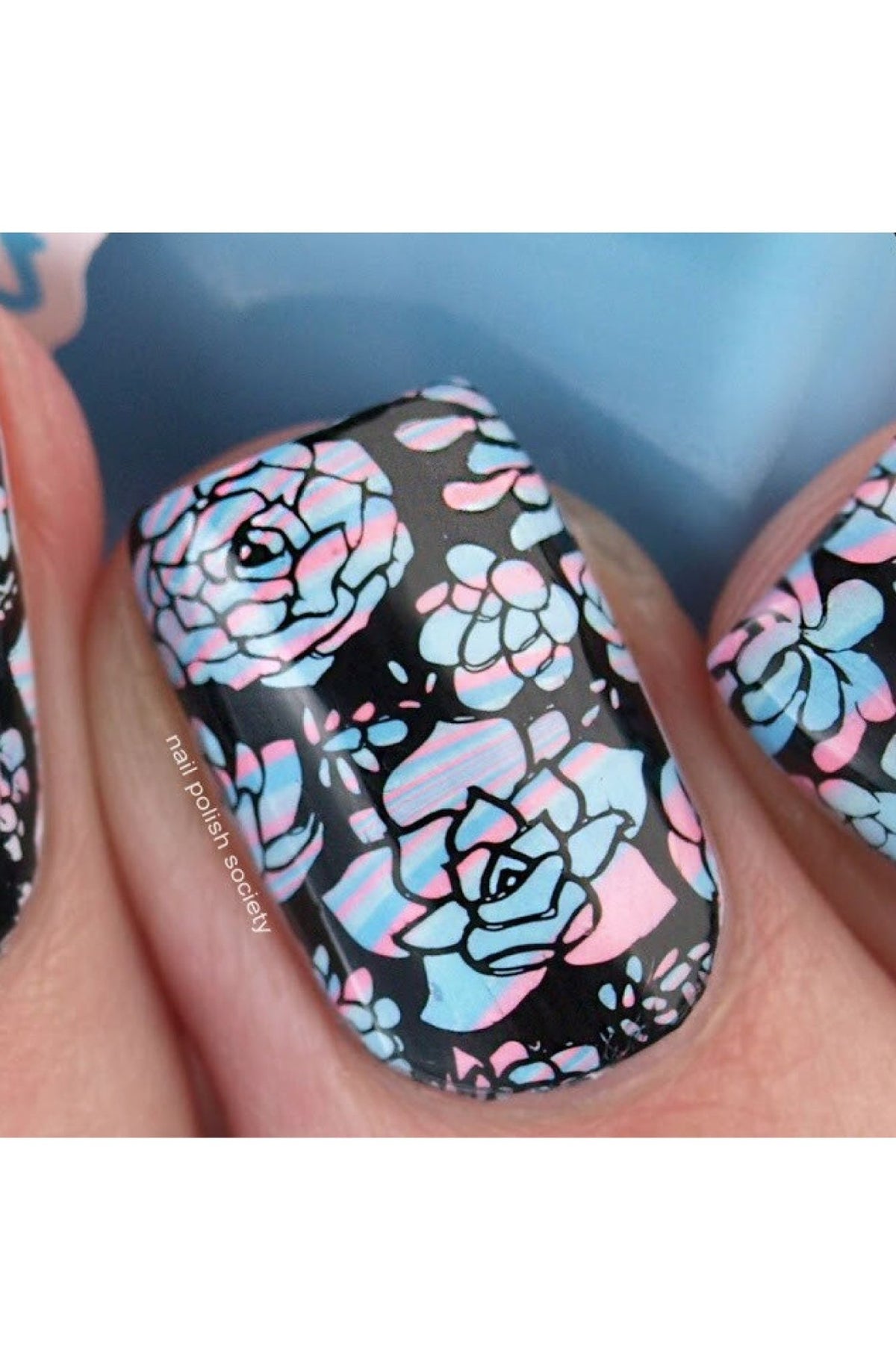 Succulents - Cordoza Nail Supply