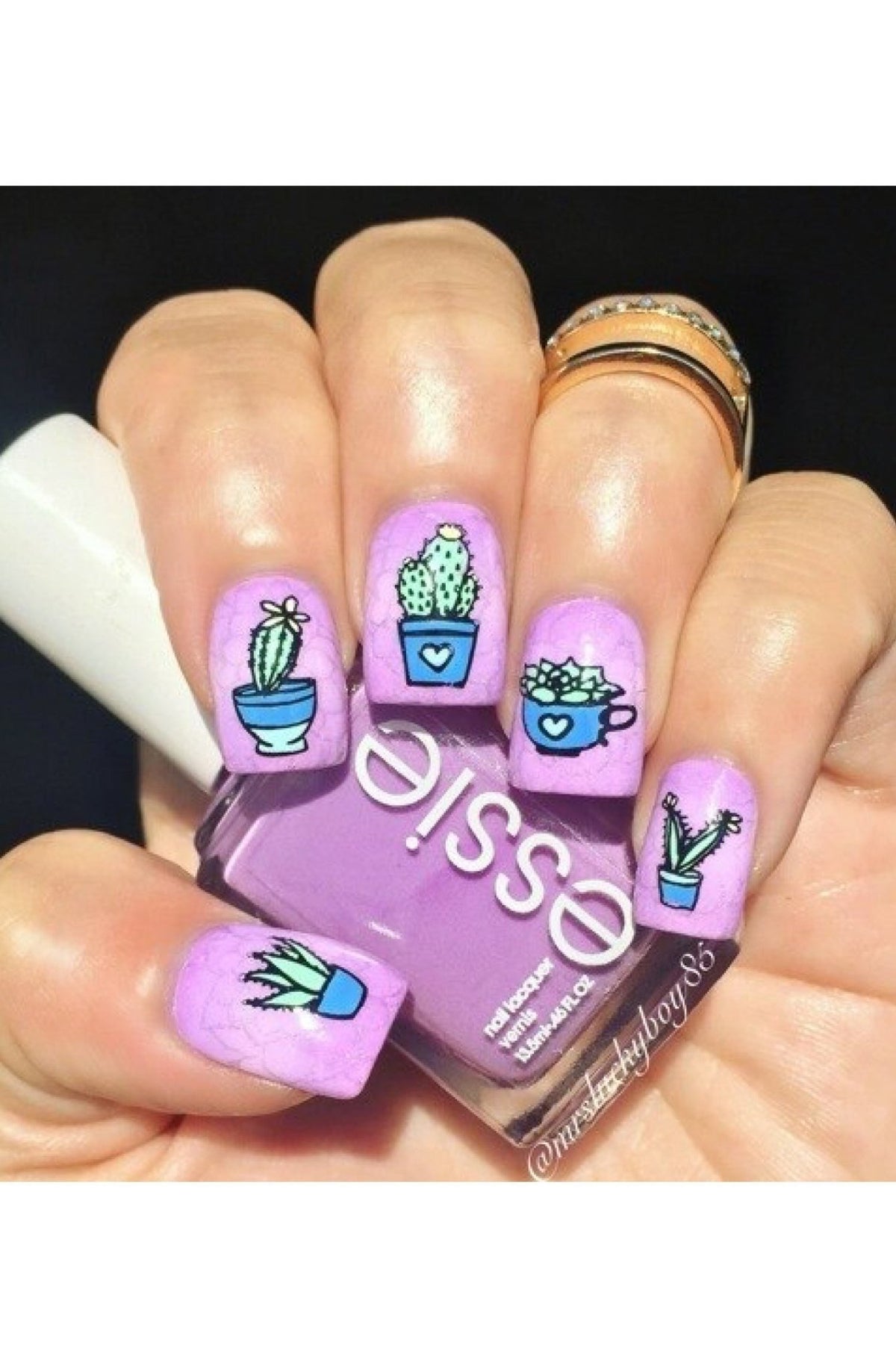 Succulents - Cordoza Nail Supply
