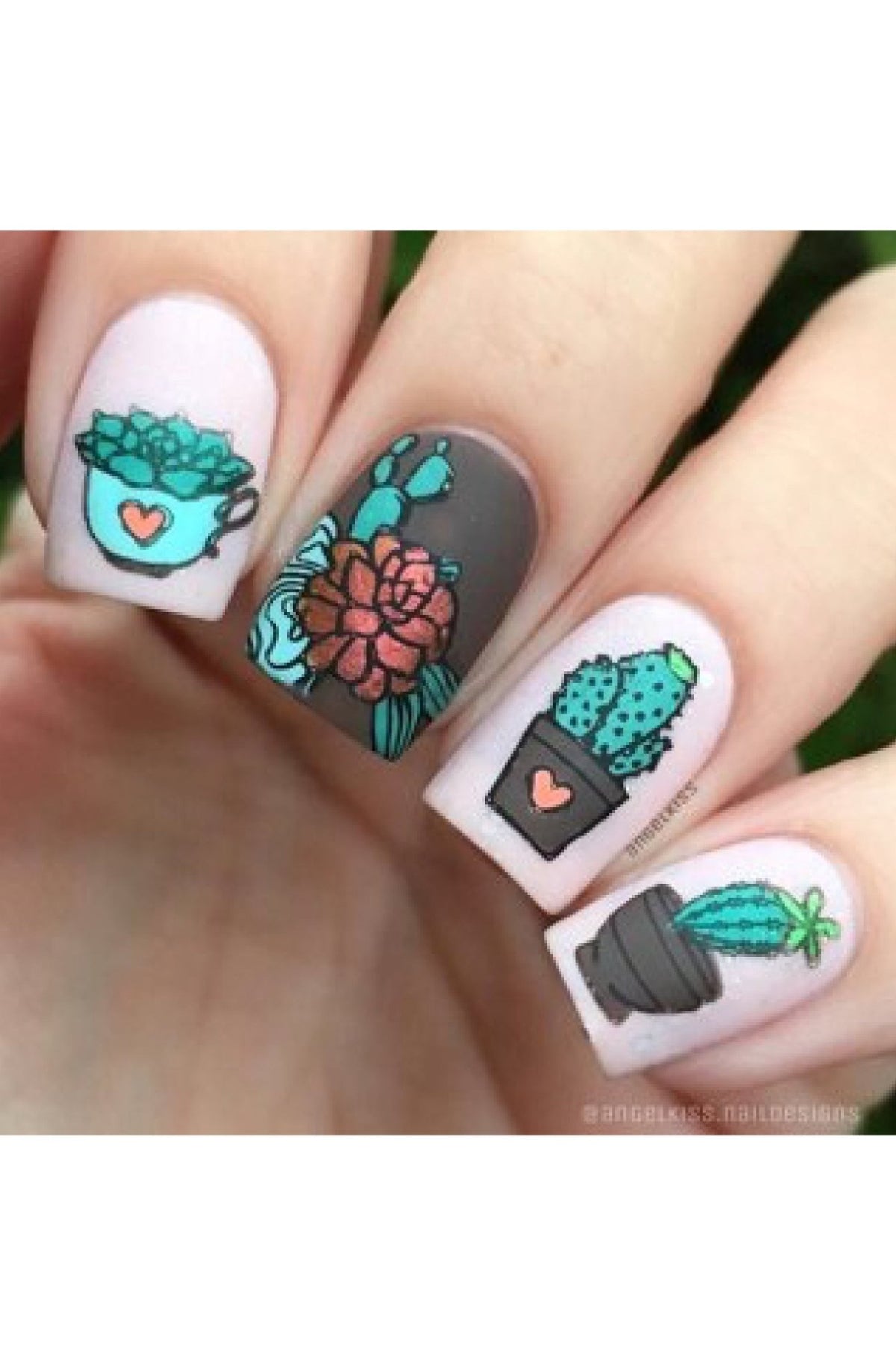 Succulents - Cordoza Nail Supply