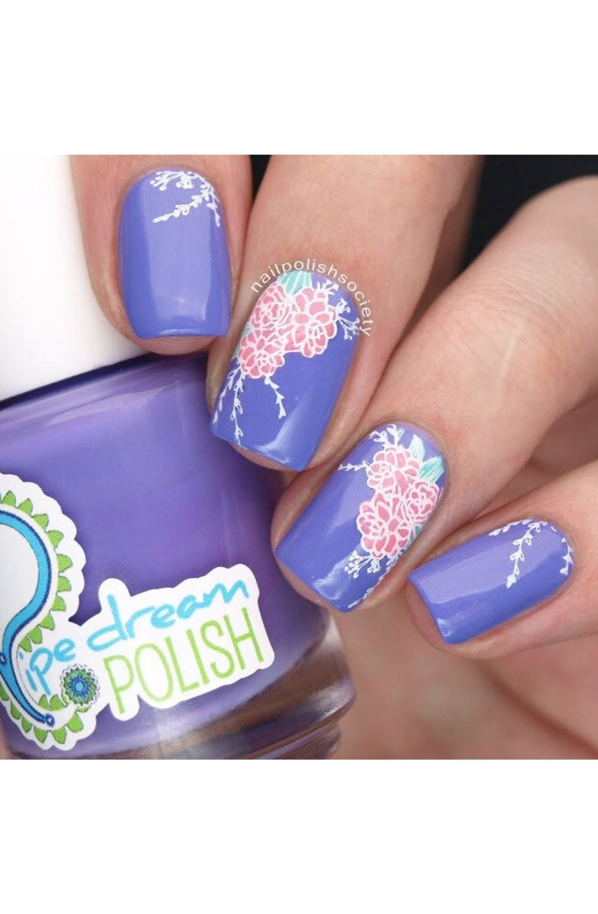 Succulents - Cordoza Nail Supply