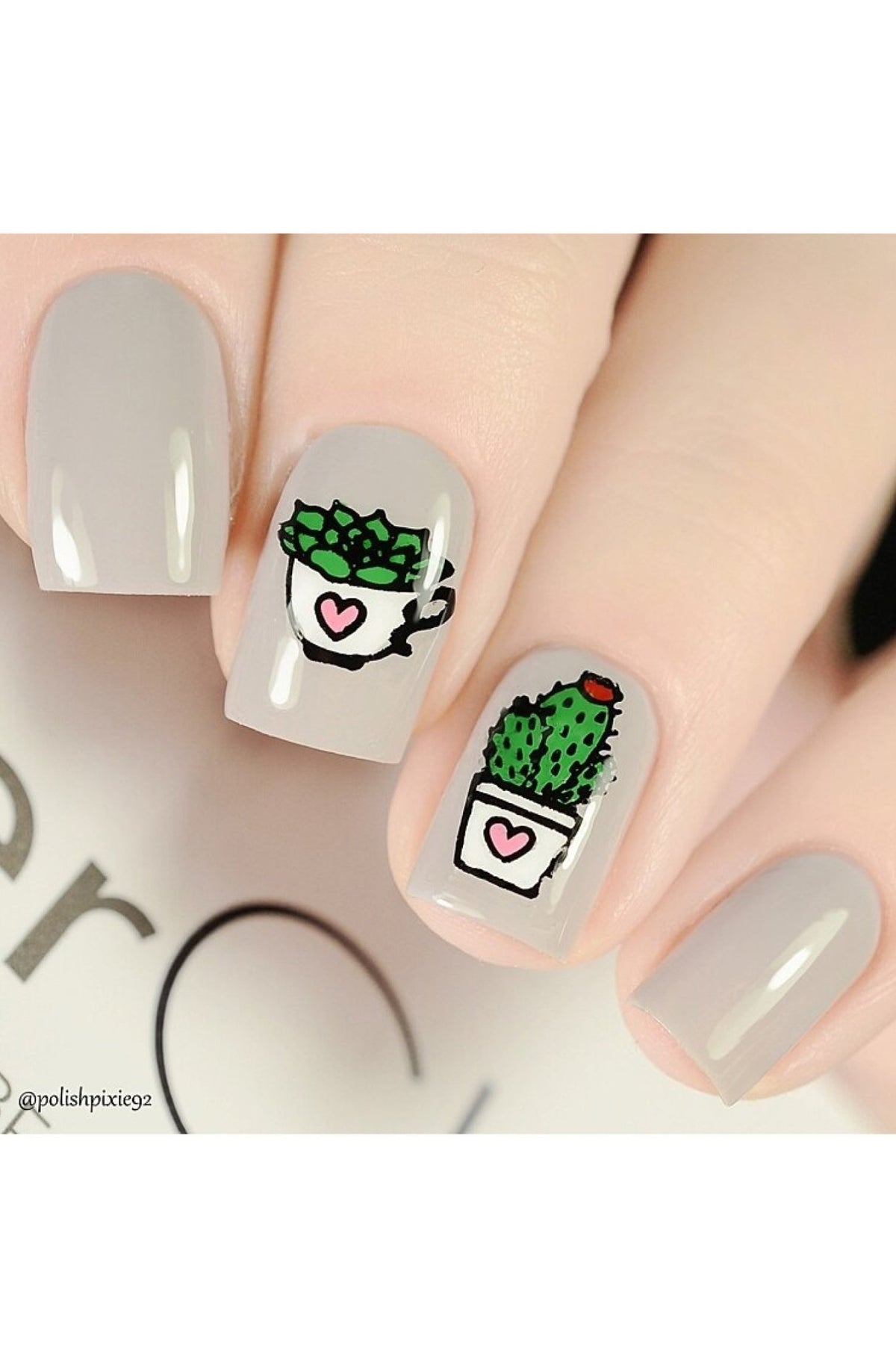 Succulents - Cordoza Nail Supply