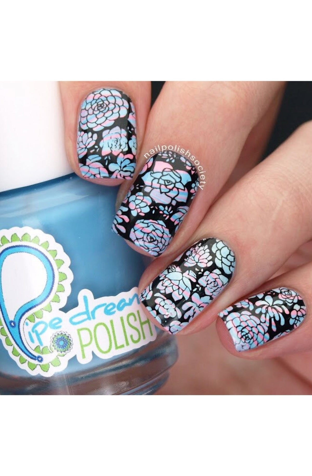 Succulents - Cordoza Nail Supply