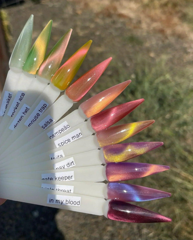 Campeão 🐂 - CNS Hema Free Cateye Gel Polish.