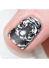 Wild & Fierce: Big Cats - Cordoza Nail Supply