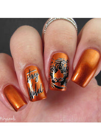 Wild & Fierce: Big Cats - Cordoza Nail Supply