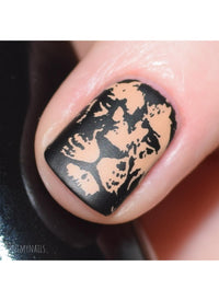 Wild & Fierce: Big Cats - Cordoza Nail Supply