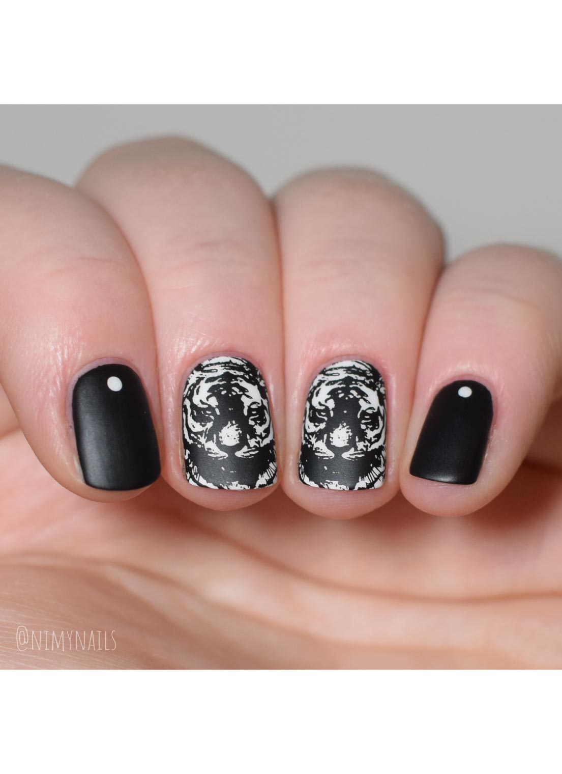 Wild & Fierce: Big Cats - Cordoza Nail Supply