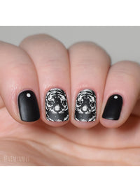 Wild & Fierce: Big Cats - Cordoza Nail Supply